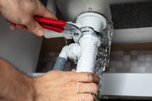 Best Fire Damage Restoration  in Interlachen, FL