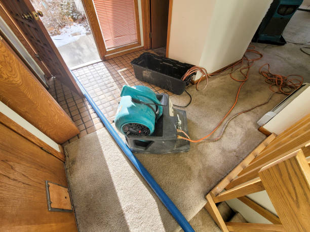  Interlachen, FL Water damage restoration Pros