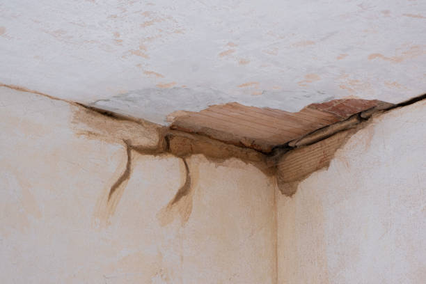Water damage restoration mold remediation in Interlachen, FL