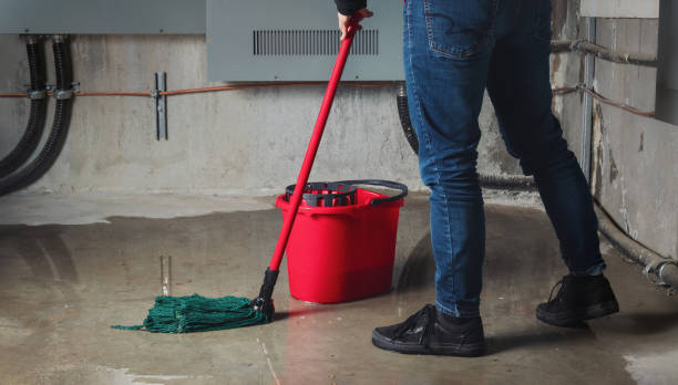 Best Water damage cleanup near me  in Interlachen, FL