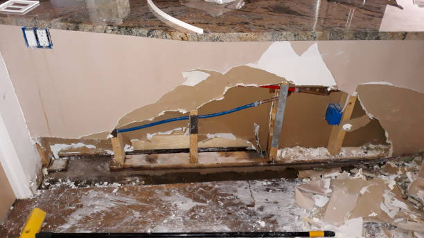 Best Commercial water damage restoration  in Interlachen, FL