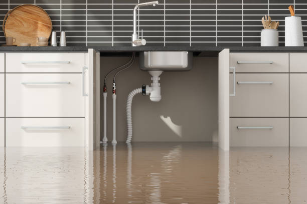 Best Water damage restoration near me  in Interlachen, FL