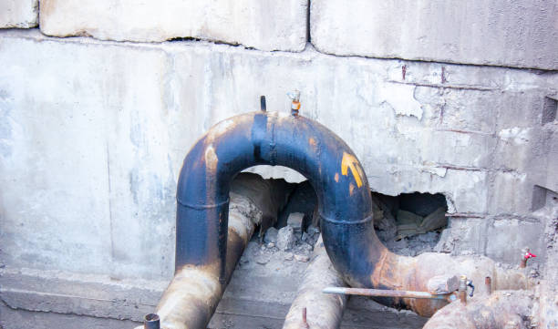 Best Water damage restoration mold remediation  in Interlachen, FL