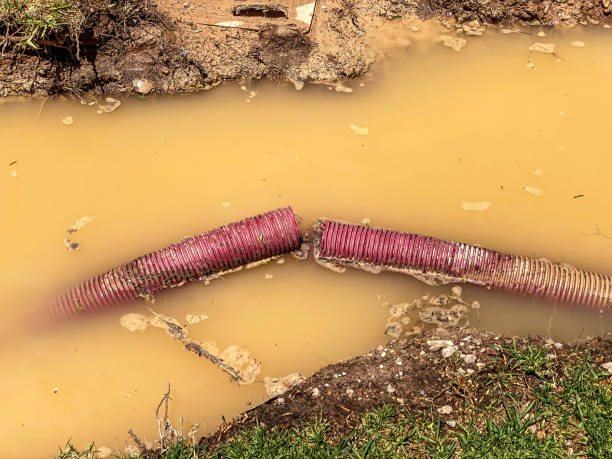 Best Professional water damage repair  in Interlachen, FL