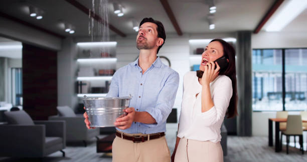 Best Mold removal after water damage  in Interlachen, FL